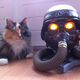 Illustration for article titled Look At These Game Developers Do Normal People Things Like Cuddle Their Pets